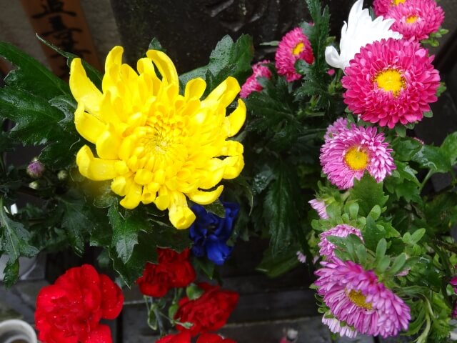 仏壇の花、長持ちさせるコツは？ class=