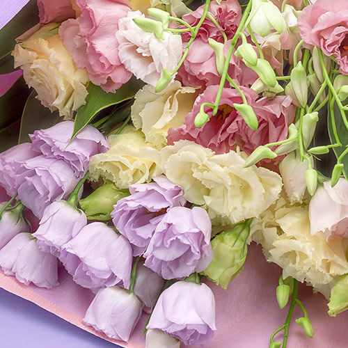 お悔み・お供えの花はどうすれば？お花の選び方のポイント class=