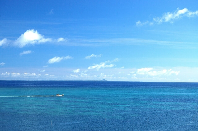 人気が高まる自然葬とは？その内容と費用は？ class=