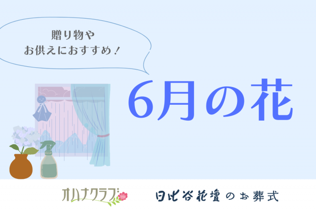 6月の花についての記事のサムネイル