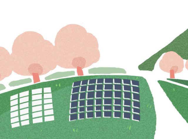 知っておきたい！「公営墓地・都立霊園」のメリット・デメリット